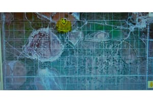 NW 304TH ST, OKEECHOBEE, FL 34972 - MLS#MFRG5090061