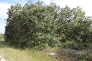 NW 304TH ST, OKEECHOBEE, FL 34972 - MLS#MFRG5090061