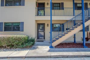 110 TREMAIN STREET, MOUNT DORA, FL 32757 - MLS#MFRG5090142