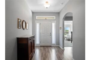 27347 ROANOKE DRIVE, LEESBURG, FL 34748 Sold 02/24/25