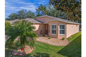 27214 STONEY BROOK DRIVE, LEESBURG, FL 34748 Sold 03/03/25