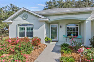 9811 PEPPER TREE PLACE, WILDWOOD, FL 34785 Sold 04/10/25