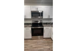 439 WOODVIEW DRIVE, TAVARES, FL 32778 Sold 04/25/25