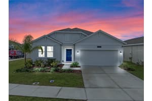 33571 SKY BLOSSOM CIRCLE, LEESBURG, FL 34788 Sold 04/16/25