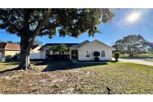 2294 MOONLIGHT LANE, EUSTIS, FL 32726 Sold 03/31/25