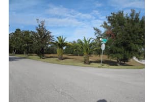 17200 ROYAL PALM DRIVE, GROVELAND, FL 34736 - MLS#MFRG5090442