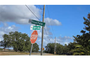 LOT 69 ROYAL PALM DR, GROVELAND, FL 34736 - MLS#MFRG5090448