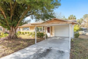 48 LAKE COURT LOOP, OCALA, FL 34472 Sold 04/10/25