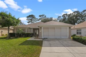 11988 91ST CIRCLE, SUMMERFIELD, FL 34491 Sold 03/20/25