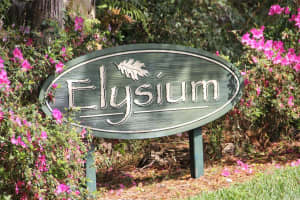 1029 ELYSIUM BOULEVARD, MOUNT DORA, FL 32757 Sold 03/31/25