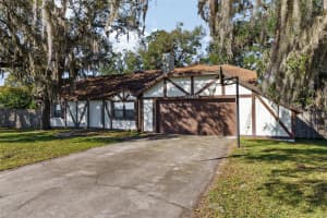 5409 TWIN PALMS ROAD, FRUITLAND PARK, FL 34731 Sold 02/14/25