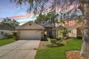 3806 DOUNE WAY, CLERMONT, FL 34711 Sold 05/16/25