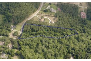 31004 SECRETARIAT TRAIL, LEESBURG, FL 34748 - MLS#MFRG5090720