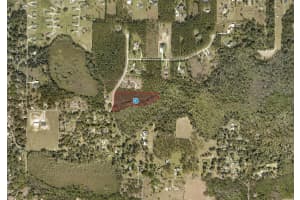 31004 SECRETARIAT TRAIL, LEESBURG, FL 34748 - MLS#MFRG5090720