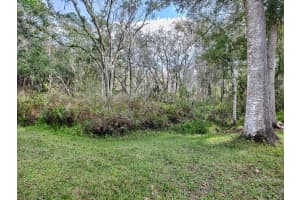 32314 OAK PARK DRIVE, LEESBURG, FL 34748 Sold 07/18/25