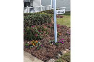 3447 RIDGEWOOD PATH, THE VILLAGES, FL 32163 Sold 02/28/25