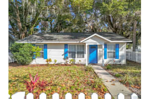 1100 GRANDVIEW STREET, MOUNT DORA, FL 32757 Sold 03/19/25