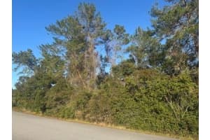 SW 41ST TER, OCALA, FL 34476 Sold 01/31/25