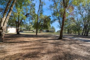 20020 COUNTY ROAD 33, GROVELAND, FL 34736 Sold 02/19/25