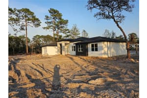 42200 CHINABERRY STREET, EUSTIS, FL 32736 - MLS#MFRG5090955