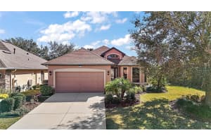 8814 BEACON HILL AVENUE, MOUNT DORA, FL 32757 Sold 02/18/25