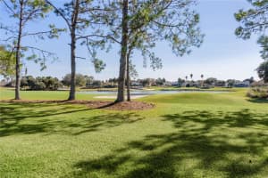 17964 86TH AUBURN AVENUE, THE VILLAGES, FL 32162 Sold 03/03/25