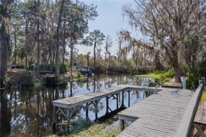 35534 QUAIL RUN, LEESBURG, FL 34788 Sold 05/27/25