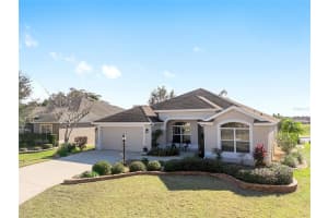 1290 JAMES ISLAND STREET, THE VILLAGES, FL 32162 Sold 04/08/25