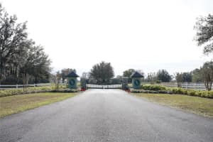 TROTTING HORSE LN, TAVARES, FL 32778 Sold 06/04/25