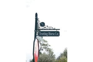 TROTTING HORSE LN, TAVARES, FL 32778 Sold 06/04/25