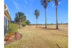 276 LAWTHORN STREET, THE VILLAGES, FL 32162 Sold 11/18/25