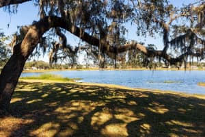 73 CAROL AVENUE, MASCOTTE, FL 34753 Sold 05/16/25
