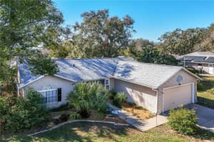 36703 SANDY LANE, GRAND ISLAND, FL 32735 Sold 04/29/25