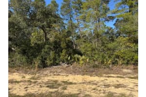 2567 176TH LOOP, OCALA, FL 34473 - MLS#MFRG5091339