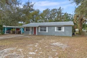 1395 MORNINGSIDE STREET, MOUNT DORA, FL 32757 Sold 03/14/25