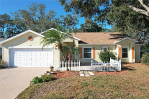 25107 MERIWEATHER ROAD, LEESBURG, FL 34748 Sold 03/31/25