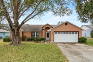 438 WOODVIEW DRIVE, TAVARES, FL 32778 Sold 02/26/25