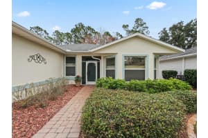 353 RANCHWOOD DRIVE, LEESBURG, FL 34748 - MLS#MFRG5091478