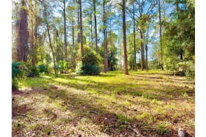 24120 GREENWOOD CROSSING, EUSTIS, FL 32736 Sold 04/15/25