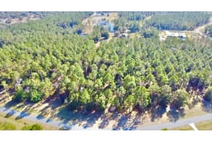 24120 GREENWOOD CROSSING, EUSTIS, FL 32736 Sold 04/15/25