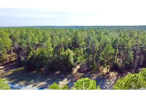 24120 GREENWOOD CROSSING, EUSTIS, FL 32736 Sold 04/15/25