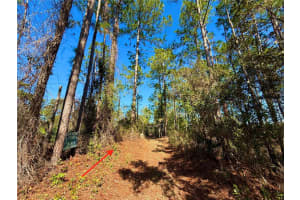 40001 MAGGIE JONES ROAD, PAISLEY, FL 32767 - MLS#MFRG5091604