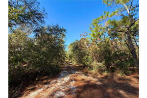 40001 MAGGIE JONES ROAD, PAISLEY, FL 32767 - MLS#MFRG5091604