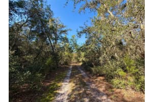 40001 MAGGIE JONES ROAD, PAISLEY, FL 32767 - MLS#MFRG5091604