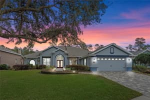 9033 LAUREL RIDGE DRIVE, MOUNT DORA, FL 32757 Sold 02/26/25
