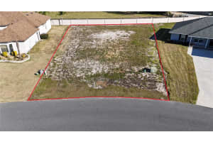 817 OAKS SHORES ROAD, LEESBURG, FL 34748 - MLS#MFRG5091614