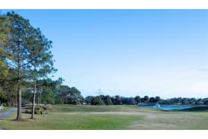 2202 MARGARITA DRIVE, THE VILLAGES, FL 32159 Sold 06/02/25