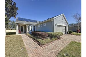 409 SILVER MAPLE ROAD, GROVELAND, FL 34736 - MLS#MFRG5091797