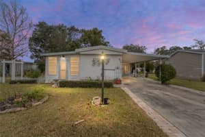 807 MAPLE LANE, THE VILLAGES, FL 32159 Sold 04/16/25