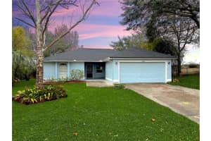 11307 MANDARIN DRIVE, CLERMONT, FL 34711 Sold 03/05/25
